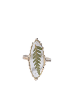 Load image into Gallery viewer, Privet Fern Ring