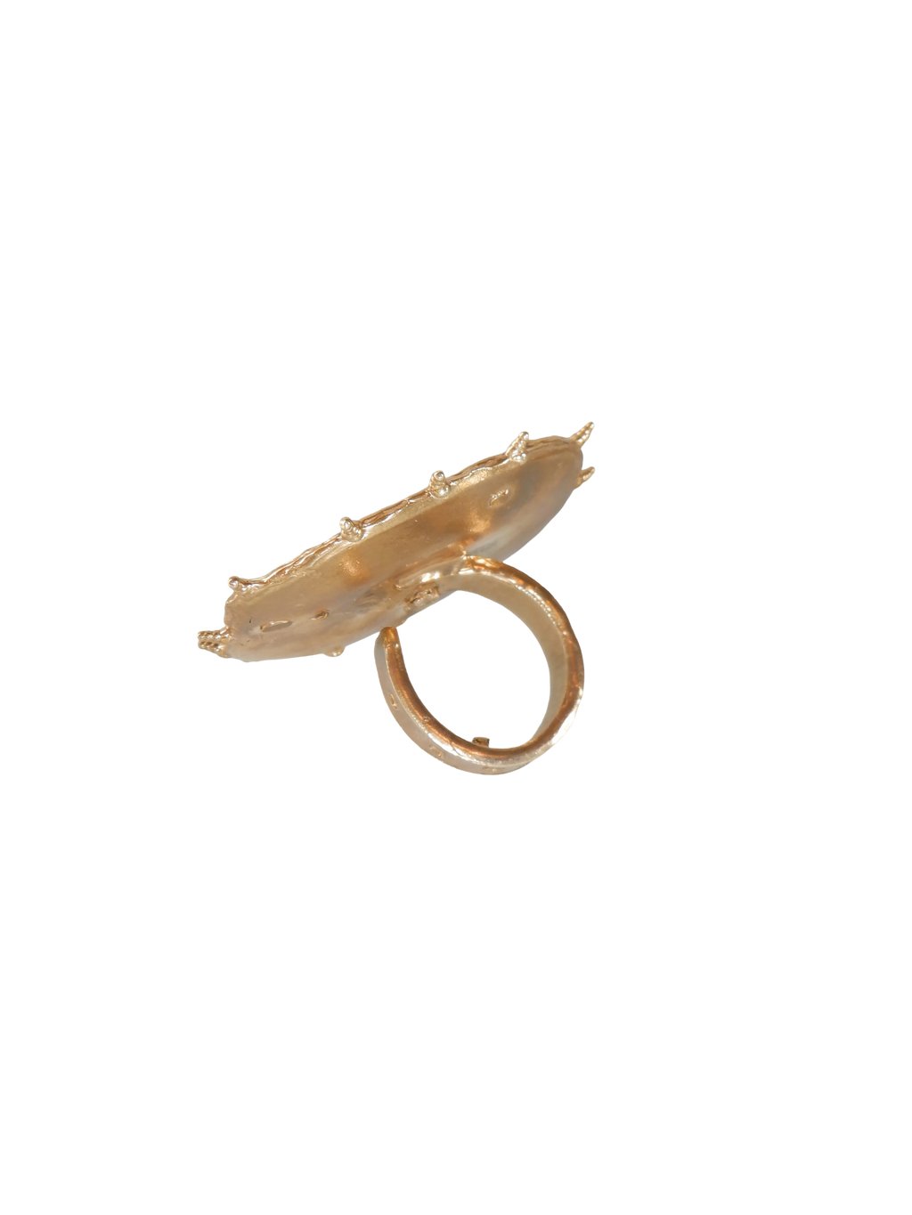 001 Flower Shield Ring