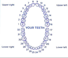 Load image into Gallery viewer, Custom Letter Caps
