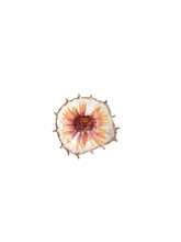 Load image into Gallery viewer, 001 Flower Shield Ring
