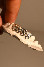 Load image into Gallery viewer, METAL GRiLLZ
