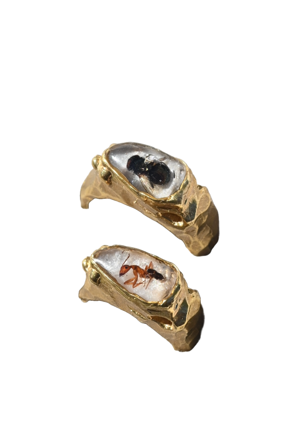 Bug Signet Ring