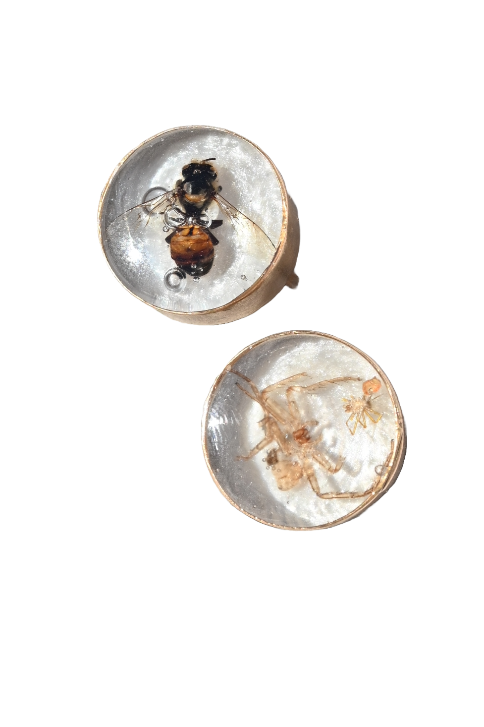 Lyreleaf Bug Ring