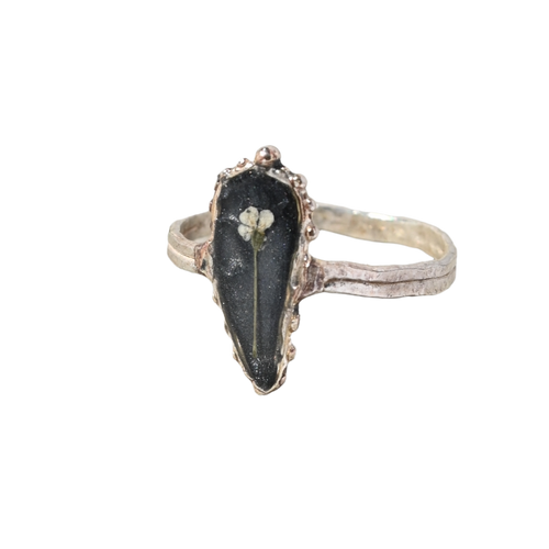 Cassia Ring