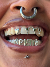 Load image into Gallery viewer, METAL GRiLLZ
