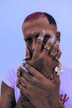 Load image into Gallery viewer, Ladybug Signet Ring
